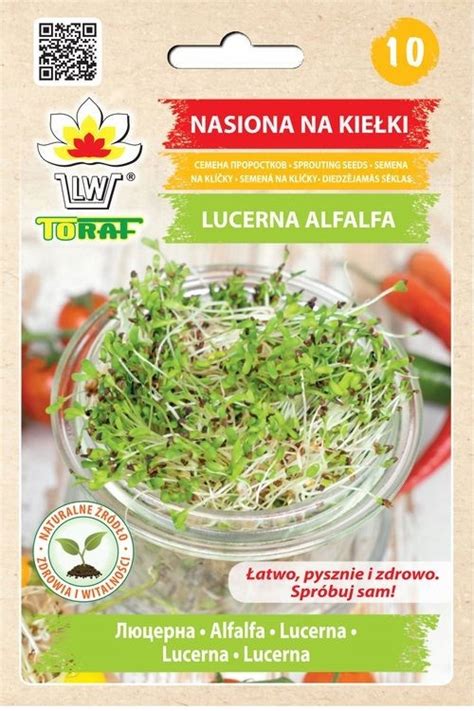 Lucerna Alfalfa Nasiona Na Kie Ki G Allegro Pl