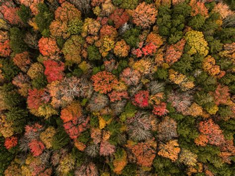 stunning spots  explore fall color    west virginia week