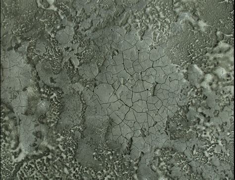 Декоративные покрытия для стен | Москва | Decor Pro