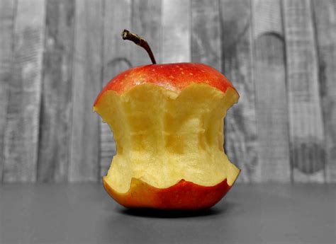 apple core bitten  stock photo public domain pictures