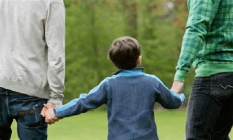 Concede Scjn Registrar A Hijo De Pareja Gay En Yucatan Rnoticias