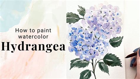 How To Paint Watercolor Hydrangea Watercolor Flower Tutorial Day 19