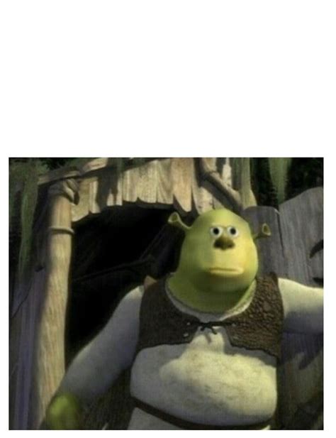 Shrek With Mike Wazowski Face R Memetemplatesofficial