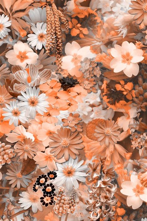 Cute Aesthetic Flower Wallpapers Top Free Cute Aesthetic Flower Backgrounds Wallpaperaccess