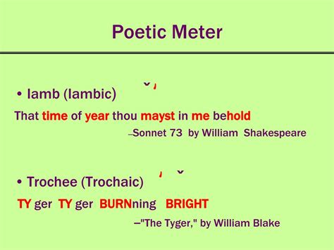 How To Measure Poetic Meter At Richard Hahn Blog