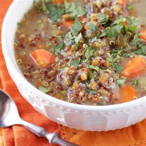 Low FODMAP Vegetable Beef Soup - Delicious as it Looks