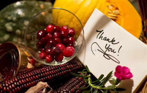 Handwritten Holiday Thank You Card with Cranberry Stock Photo - Image ...