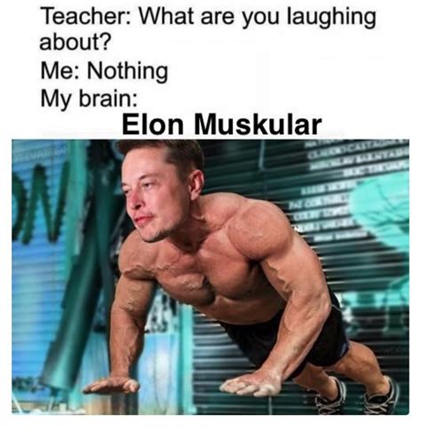 Elon Muskular Rmemes