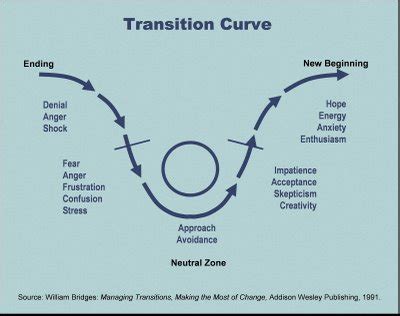 transition curve - LifePlusWork