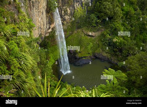 Bridal Veil Falls Near Raglan Waikato North Island New Zealand