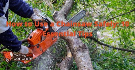 Chainsaw Safety Guide 10 Essential Tips