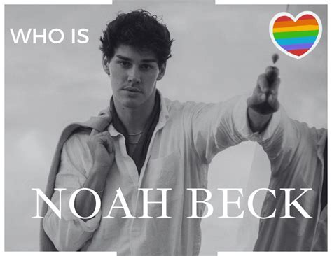 Is Noah Beck Gay Debunking Rumors And Exploring His Career