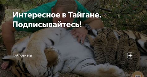 Интересное в Тайгане. Подписывайтесь! | ТАНЯ, НАСТЯ и ТАЙГАН | Дзен