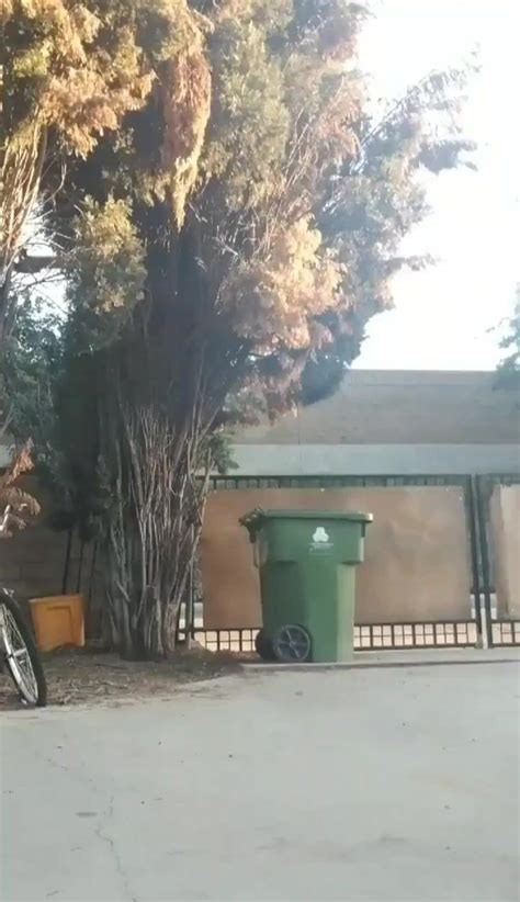 Pizza Dare Nude Delivery At The Front Gate Porn Video Netyda