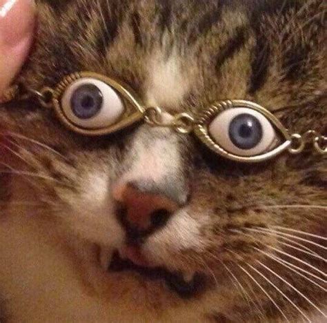 25 Cursed Images That Will Leave You With More Questions Than Answers ...