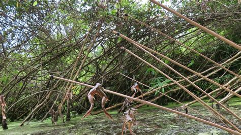 Nekat Pemancing Ini Masuk Hutan Larangan PR 114 YouTube