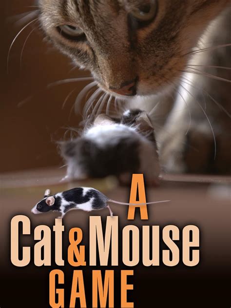 A Cat and Mouse Game (2019)