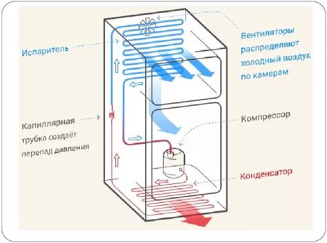 Как работает холодильник: Схема и физический принцип