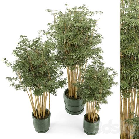 [3dsky] Indoor Plants Bamboo Set In Rusty Concrete Pots Set 108 3d