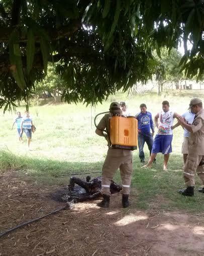 Pol Cia Encontra Corpos Carbonizados Em Santana Do Ipanema