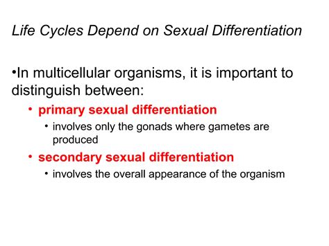 Sex Determination And Sex Chromosomes Ppt
