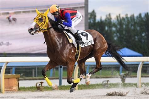 地方競馬全国協会nar公式 On Twitter 石川ダービー 1着はショウガタップリ。本日金沢競馬場で行われた第7回石川ダービーは