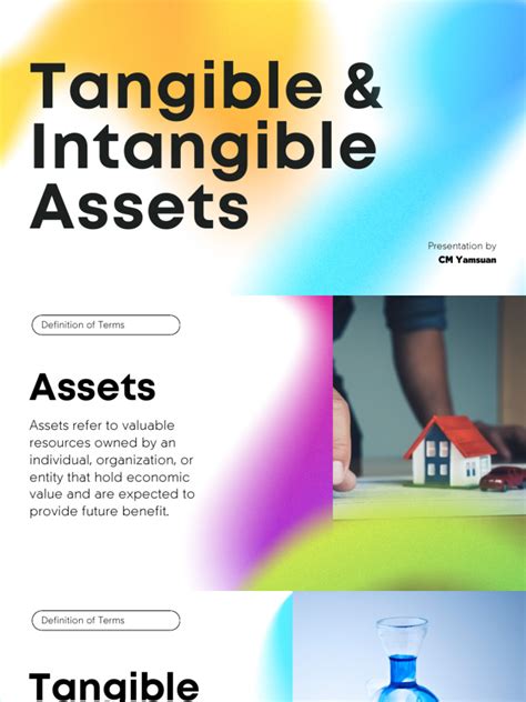 Tangible and Intangible Assets | PDF