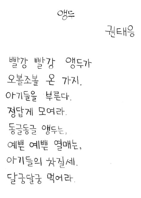 Daum 카페