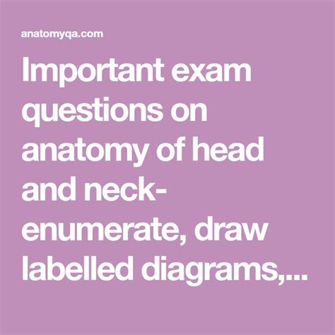 The Words Important Exam Questions On Anatomy Of Head And Neck Enumeate