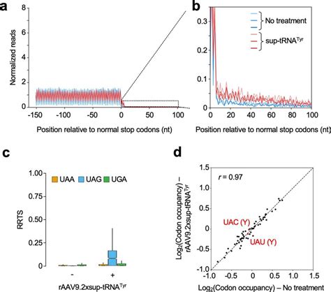 Ribosome Profiling Revealed That Global Readthrough Is Largely