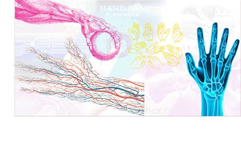 286 HAND РУКА on Behance
