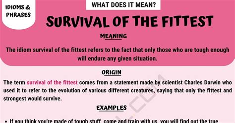 Survival of the Fittest: Definition and Examples of this Useful Idiom • 7ESL