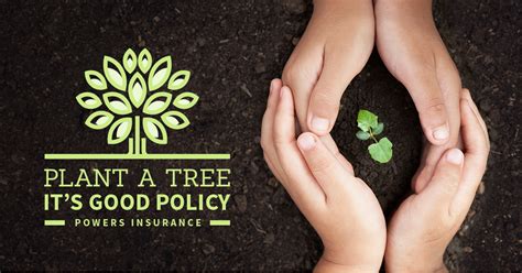 Plant A Tree Its Good Policy Powers Insurance And Risk Management