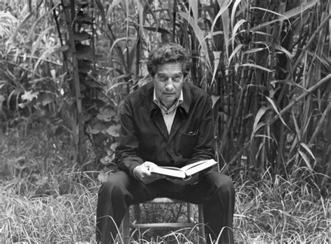 La Vida Sencilla Un Poema De Octavio Paz Sobre El Milagro De Estar