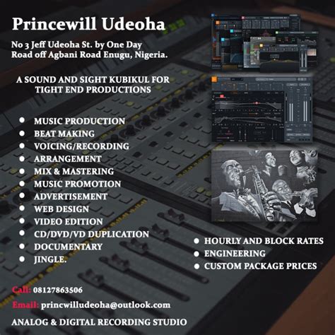 Mix And Master Your Song Professionally By Udprincewill Fiverr