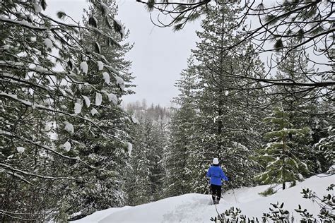 Hiking for snow when Trail valley is bare - Trail Times