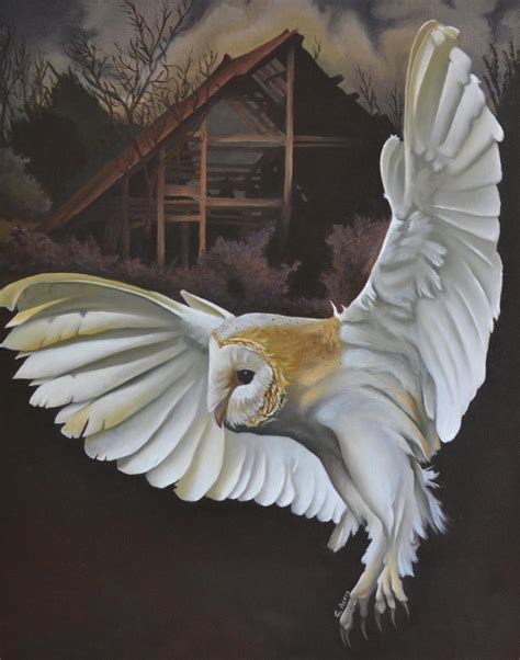 barn owl by georgeayers2000 on DeviantArt