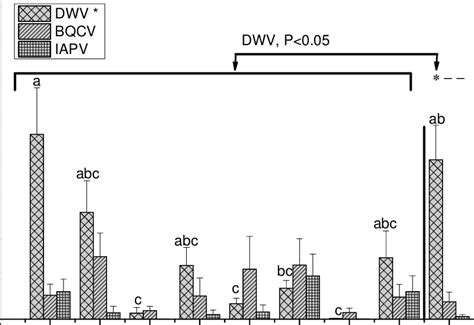 Relative Viral Concentration Of Dwv Bqcv And Iapv Among Samples