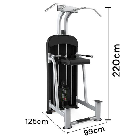 Infinité Strong Weight Assisted Chin Dip Combo 71 Kg If C13 Gymsport