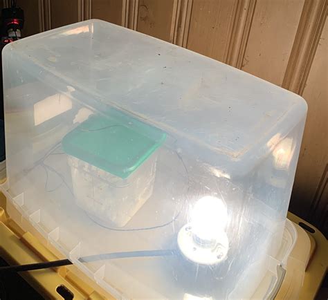 diy bread proofing box 5