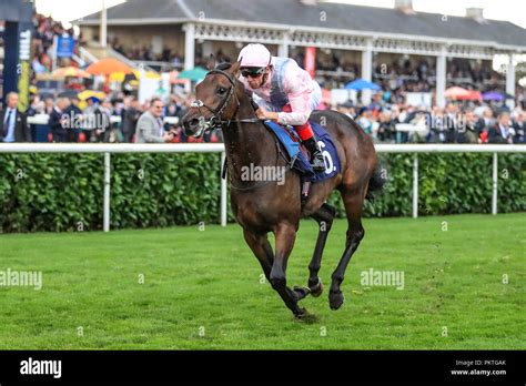 Its Too Darn Hot Hi Res Stock Photography And Images Alamy