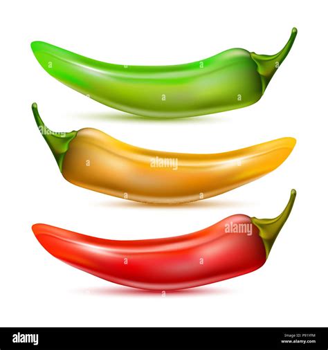 Vector Illustration Hot Chilli Pepper Set Isolated On White Background Red Yellow And Green
