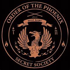 Professor Harry Potter The Secret Society He Founded And Why It Matters Now
