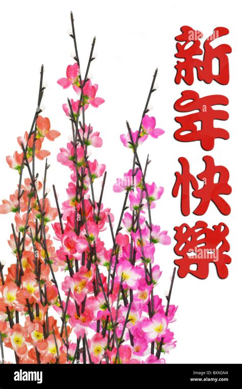 Chinese New Year Plum Blossoms