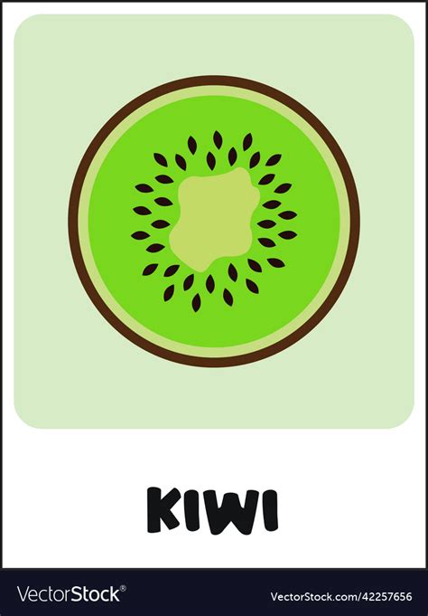 Kiwi flashcard Royalty Free Vector Image - VectorStock