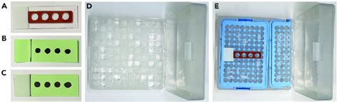 Mounting Hybridization Chambers And Humidifying Chamber A One Stripe Download Scientific