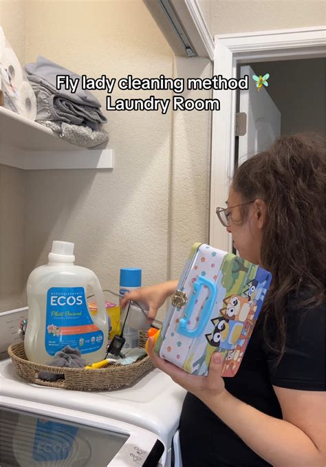 Fly Lady Cleaning Method: Zone 3 Progress | TikTok