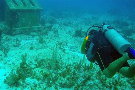 Cancún Underwater Museum See Underwater Sculptures Via Snorkeling