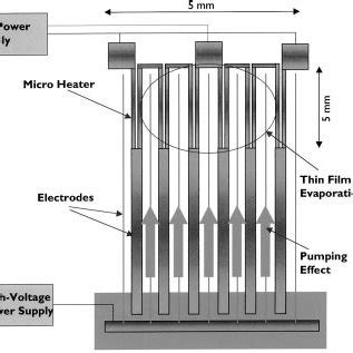 Schematic diagram of the device (not to scale). | Download Scientific ...