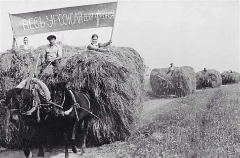 Труженики тыла (54 картинки)